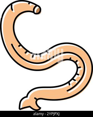 hookworm parasite color icon vector illustration Stock Vector Image ...