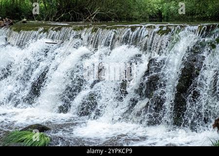 small dam on a river, foaming water coming over a small waterfall from a dam. Stock Photo