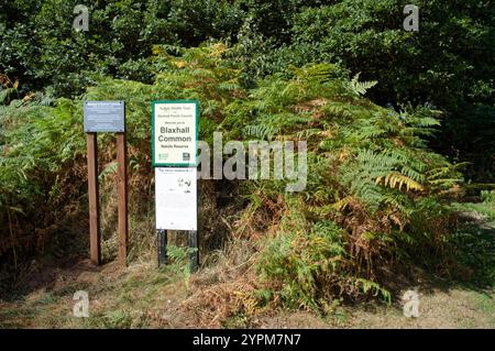 Blaxhall Common Nature Reserve, near Saxmundham, Suffolk, UK Stock Photo