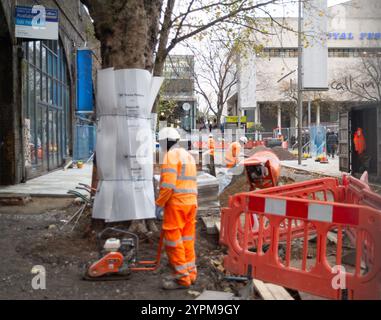 London, UK. 27th November, 2024. A London Plane tree is wrapped up whilst workmen put down new paving near Waterloo Railway Station in London. Credit: Maureen McLean/17�Թ����� Stock Photo