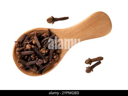 Whole clove buds in a wooden spoon cutout macro. Spoon full of dry organic cloves spice isolated on a white background. Cooking, herbal medicine. Stock Photo