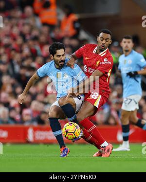 Liverpool, UK. 1st Dec, 2024. Liverpool's Cody Gakpo with Manchester City's Ilkay Gundogan during the Premier League match at Anfield, Liverpool. Picture credit should read: Simon Bellis/Sportimage Credit: Sportimage Ltd/Alamy Live News Stock Photo