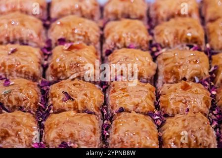 Baclava layered pastry dessert made of filo pastry, filled with chopped nuts, and sweetened with syrup or honey. Baclava or pakhlava the sweet pastrie Stock Photo