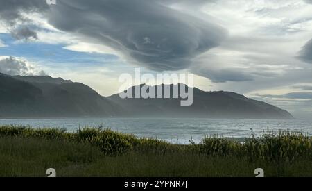 Dark Clouds over Kaikoura Beach with yellow lupins in the foreground Stock Photo