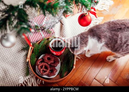 Cat smelling coffee and chocolate gingerbread on tray under decorated Christmas tree at home. Festive food and drinks. Top view Stock Photo