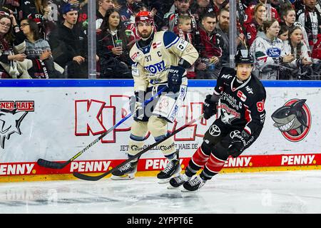 Germany. 01st Dec, 2024. Eishockey Penny-DEL 22.Spieltag Koelner Haie - Schwenninger Wild Wings am 01.12.2024 in der Lanxess Arena in Koeln Thomas Larkin ( Schwenningen ), links - Moritz Mueller ( Koeln ), rechts Gemaess den Vorgaben der DEL Deutsche Eishockey Liga ist die Publikation und Weiterverwertung der Aufnahmen in elektronischen Medien und Endgeraeten aller Art waehrend des laufenden Spiels nicht zulaessig. Foto: Revierfoto Credit: ddp media GmbH/Alamy Live News Stock Photo