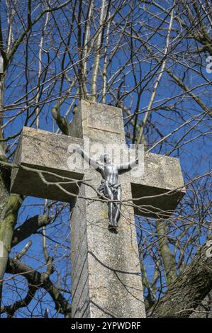 Crucified Jesus Christ on the cross. Tree and blue sky in the background Stock Photo