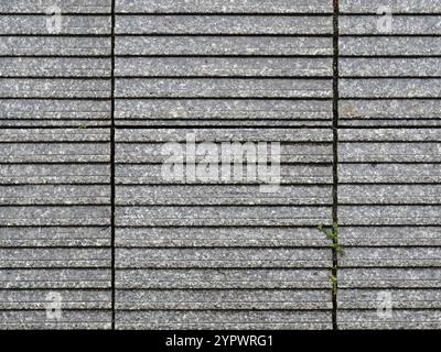 Granite & wallflowers, texture background structure, rustic, stone background Stock Photo