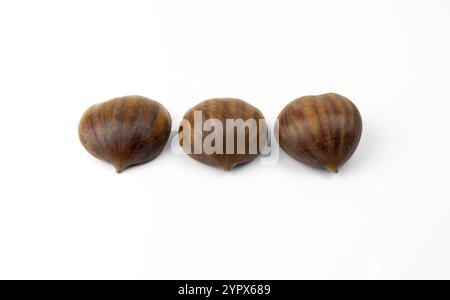 Edible chestnuts isolated on white background. Castanea sativa, the sweet or Spanish chestnut close up Stock Photo