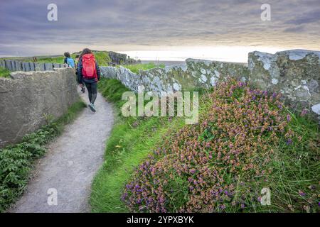 Hiker between traditional stone fence, Cliffs of Moher, The Burren, County Clare, Ireland, United Kingdom, Europe Stock Photo