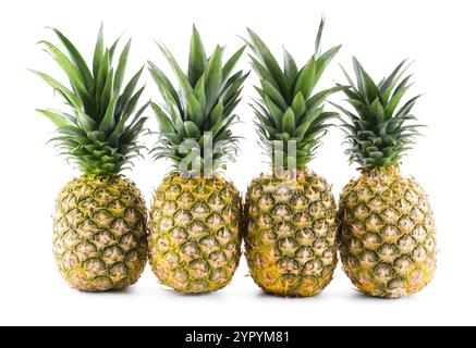 Many fresh ripe pineapples isolated on white Stock Photo