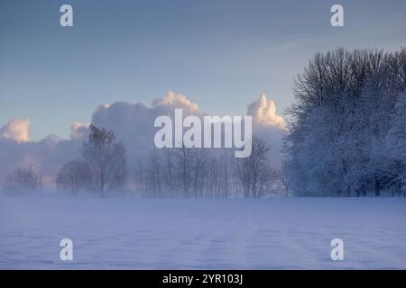 Wintery field landscape Stock Photo