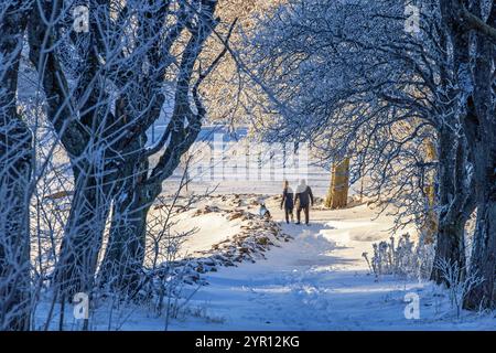 People walking on a snowy path with a dog a cold winter day Stock Photo