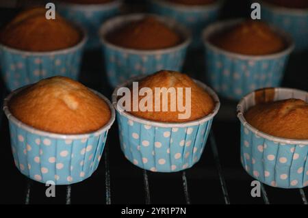 Muffins in paper tins, cup cakes Stock Photo