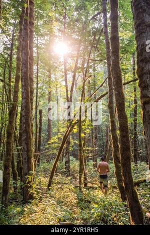 Rear view of lone man wandering lush forest Stock Photo