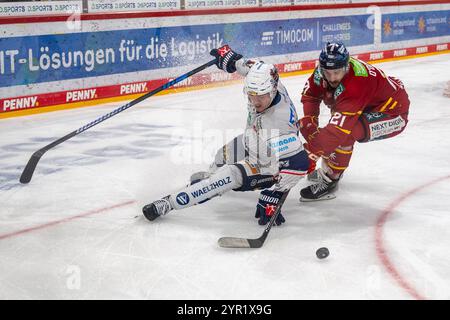 29.11.2024, Eishockey: Penny DEL, Saison 2024/2025, 21. Spieltag, Duesseldorfer EG - Iserlohn Roosters im PSD Bank Dome in Duesseldorf. Zweikampf zwischen Johannes Huss (Iserlohn Roosters, #55) und Brendan O Donnell (Duesseldorfer EG, #21). Foto: Kirchner-Media/TH Stock Photo