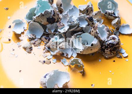 Quail eggshells on a yellow plate. Top view, close-up. High quality photo Stock Photo