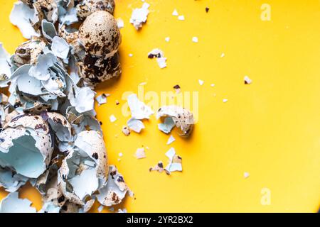 Quail eggshells on a yellow plate. Top view, close-up. High quality photo Stock Photo