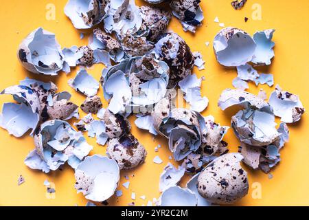Quail eggshells on a yellow plate. Top view, close-up. High quality photo Stock Photo