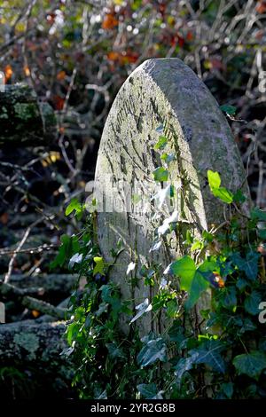 Southampton old cemetery Stock Photo