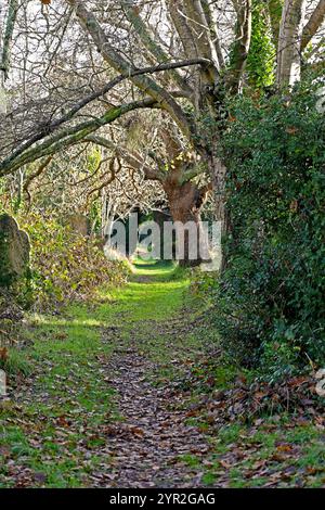 Southampton cemetery pathway Stock Photo