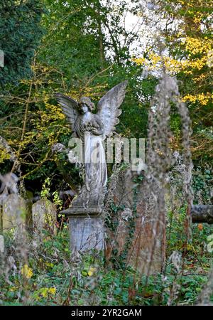 Southampton old cemetery Stock Photo