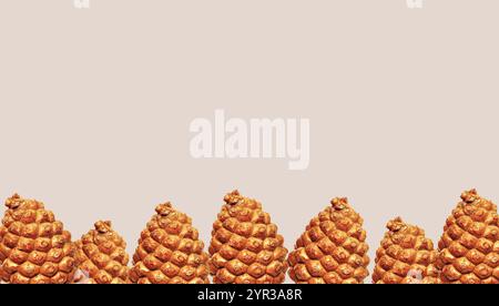 Pine cones and nuts, isolated. Pinyon pine cone, cedar cone. Pine nuts, seeds. Nutritious food. The process of shelling the seeds. Cut out Stock Photo