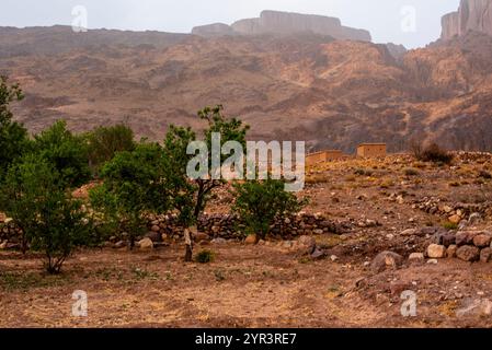 Berber oasis with almond trees and houses built of mud and straw in the trails around Jebel Saghro in the Atlas near Marrakech in Morocco Stock Photo