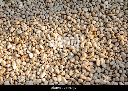 White pebble stones background texture. Close up of stone pebbles. Stock Photo