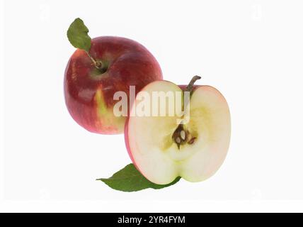 Half of apple Isolated on a white background. Stock Photo