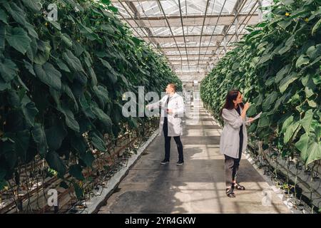 Conducting thorough scientific research and data collection in a modern greenhouse designed to maximize vegetable production while implementing Stock Photo
