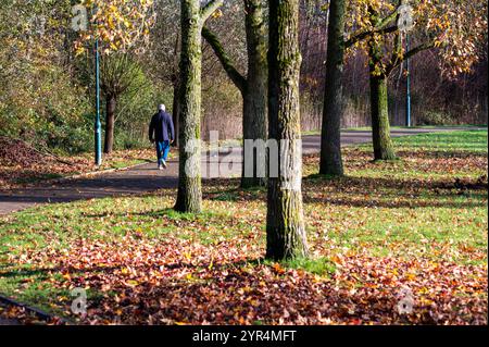 Man walking in the autumn park, Jette, Brussels, Belgium, OCT 28, 2024 Stock Photo