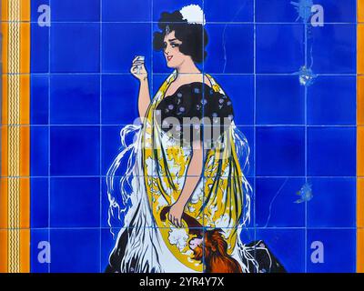 Traditional Spanish, glazed ceramic tiles, close up. Decorative painted tiles. Colorful Azulejos. Ornate pattern, for design, backdrop. Merida, Spain. Stock Photo