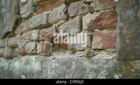 Old brickwork of the 18th century. Plastered wall with exposed decaying of erosion brickwork of 18th century building Stock Photo
