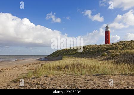 A red lighthouse stands on a grassy dune on the beach under a blue sky with clouds, Eierland lighthouse, Texel island, Netherlands Stock Photo