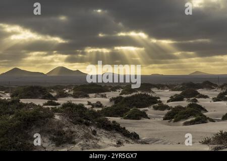 Wide desert landscape with dark clouds and sunbeams breaking through, Canary Islands, Lanzarote, Spain, Europe Stock Photo
