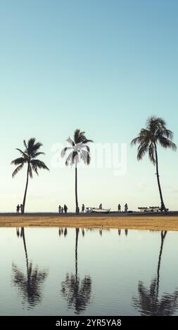 Vertical shot of a breathtaking view of palm trees and people lining Waikiki Beach in Hawaii with reflections in the water Stock Photo