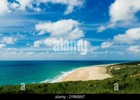 White clouds decorating the blue sky over Praia do Norte beach in Nazare, Portugal, with green vegetation in the foreground and turquoise water gently Stock Photo