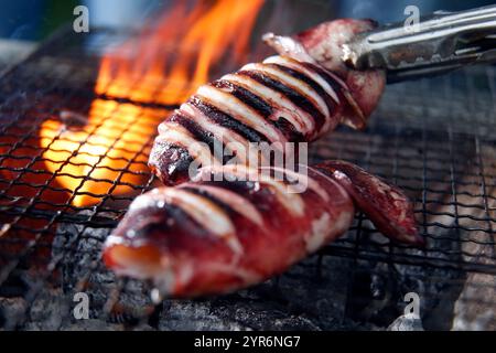 Char-grilled squid Stock Photo