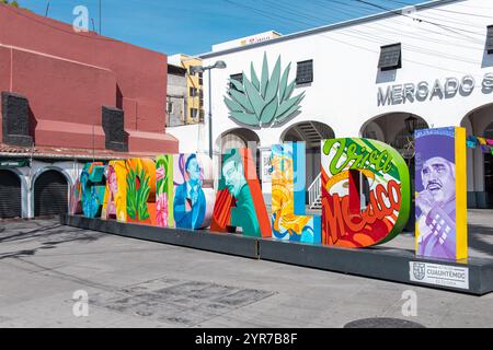 Mexico City, MEXICO - Nov 18 2024 : A charming street in Plaza ...