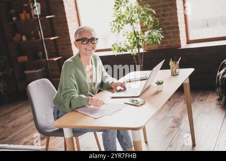 Charming mature woman working from home in a stylish cozy loft interior Stock Photo