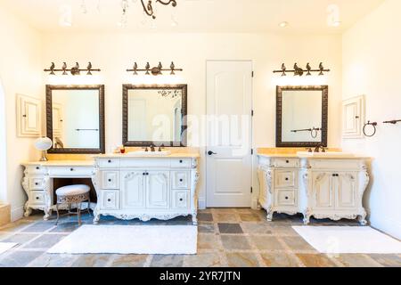 Elegant dual vanity bathroom design with vintage touches and natural light Stock Photo