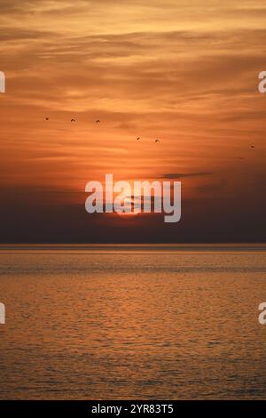 Vibrant Ocean Sunset with Birds flying against Orange Sky Stock Photo
