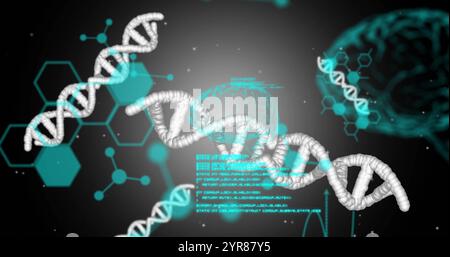 Image of elements, brains, dna strands and data processing on dark background Stock Photo