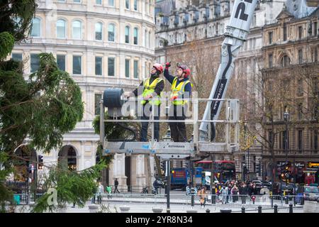 London, England, UK. 2nd Dec, 2024. Trafalgar Square Traditional Christmas tree, annual gift of Norway to London, is seen being installed and strengthened by additional branches. (Credit Image: © Tayfun Salci/ZUMA Press Wire) EDITORIAL USAGE ONLY! Not for Commercial USAGE! Stock Photo