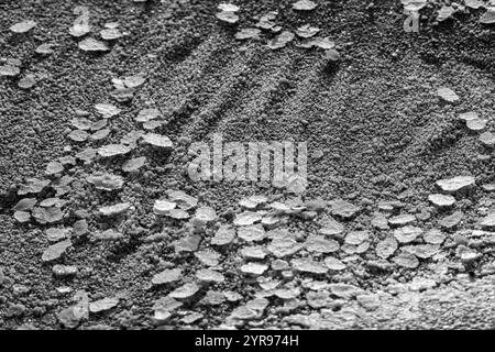 Detailed view of ice crystals forming intricate patterns on frozen ground in monochrome. Captures winter's delicate structure. Stock Photo