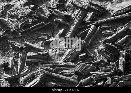 Black and white photograph showing weathered logs scattered across sandy surface, emphasizing texture and contrast. Stock Photo