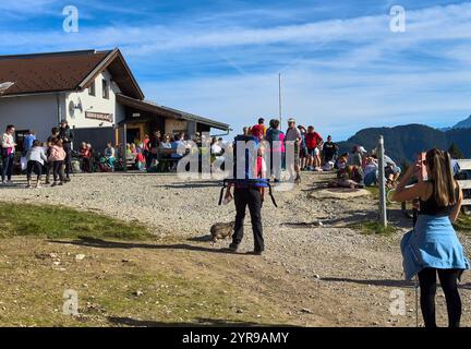 Reutte, Oesterreich. 01st Nov, 2024. Hikers, tourists and hikers with dogs on the Duerrenberg Alm with a view of the Lech Valley with the Lech River and the Hahnenkamm Mountain in Reutte, Austria on Nov 1, 2024 Photographer: ddp images/star-images Credit: ddp media GmbH/Alamy Live News Stock Photo