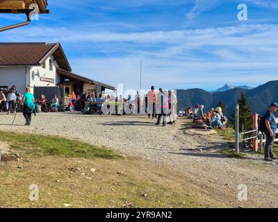 Reutte, Oesterreich. 01st Nov, 2024. Hikers, tourists and hikers with dogs on the Duerrenberg Alm with a view of the Lech Valley with the Lech River and the Hahnenkamm Mountain in Reutte, Austria on Nov 1, 2024 Photographer: ddp images/star-images Credit: ddp media GmbH/Alamy Live News Stock Photo