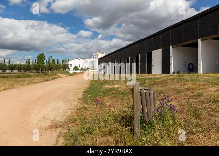 Torre de Palma, Vaiamonte, Portugal Stock Photo